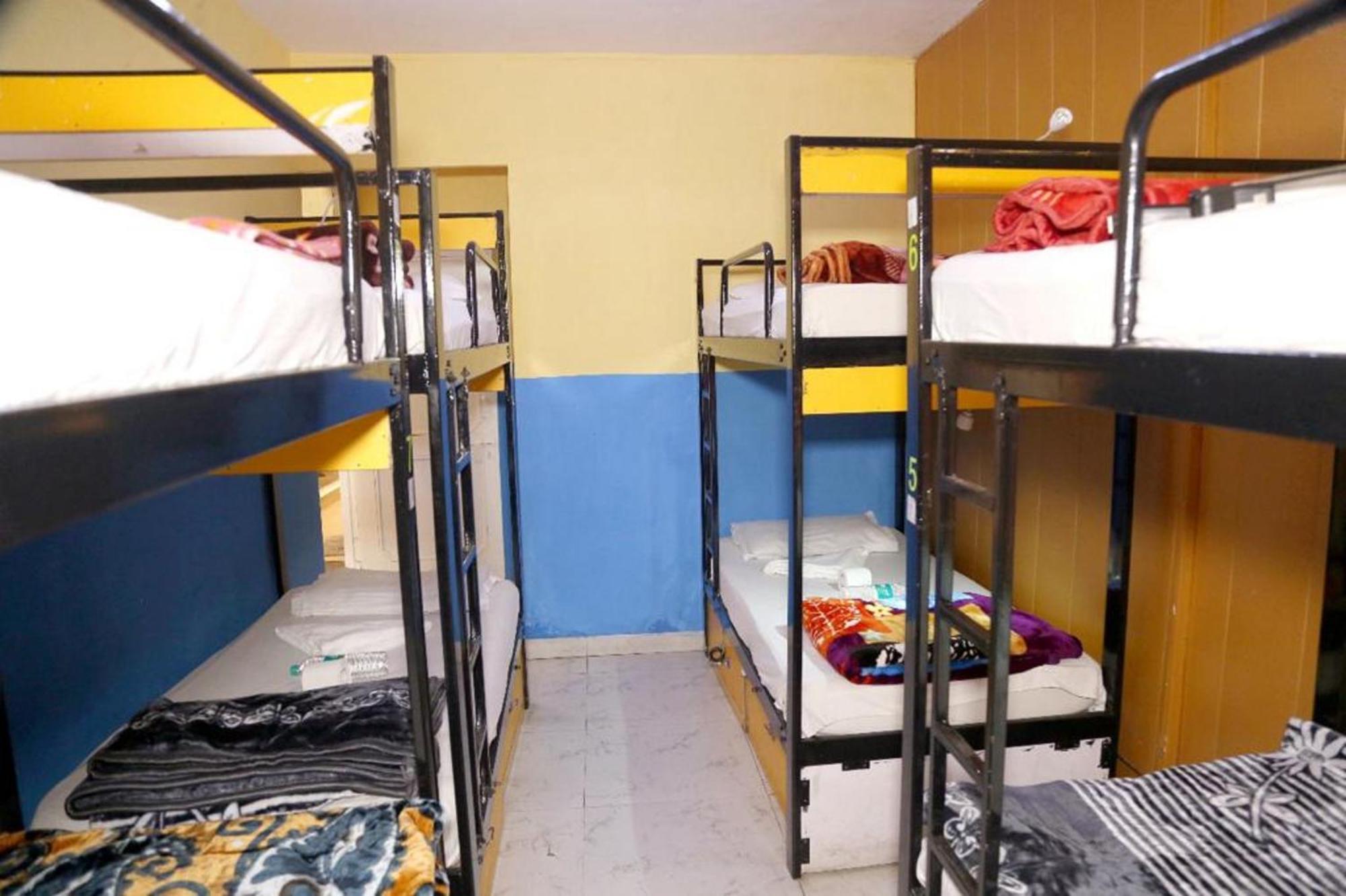 Bunk Hostel Delhi Best Backpacking Accommodation Νέο Δελχί Εξωτερικό φωτογραφία